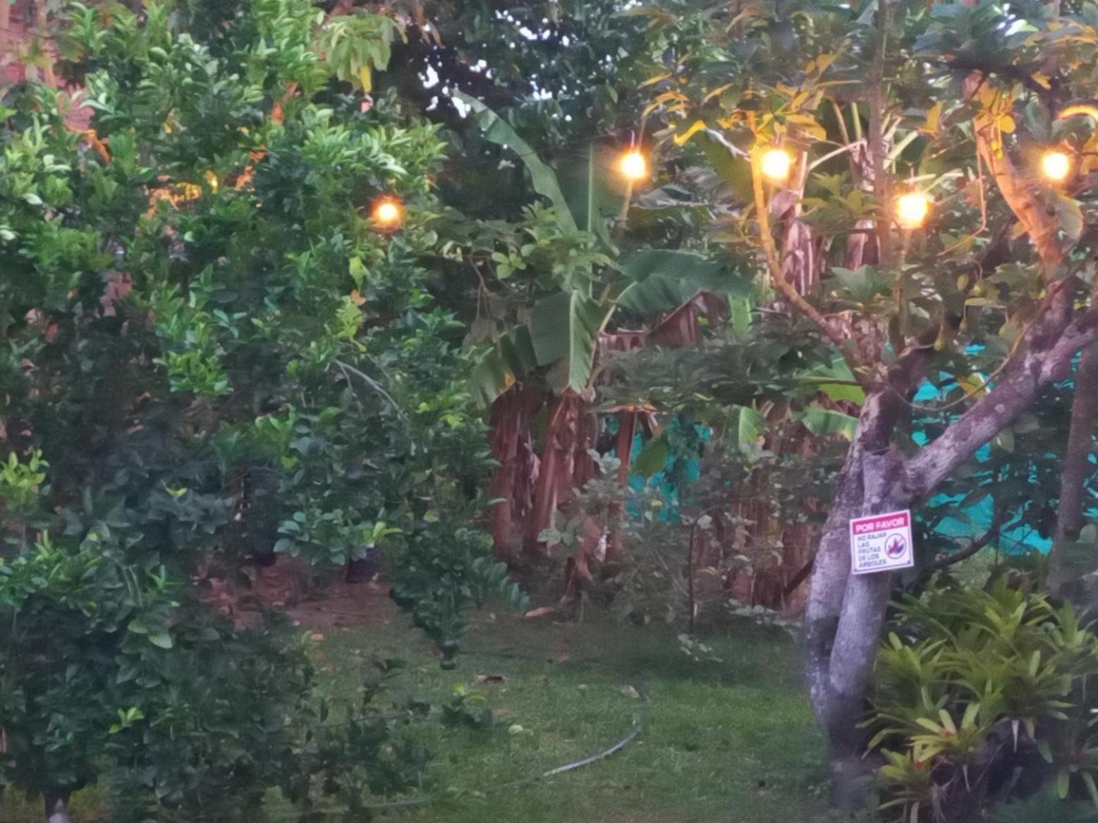 Las Orquideas Rozo Eksteriør billede